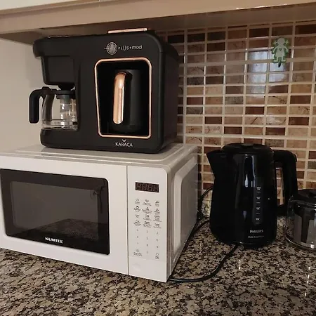 Diana's Ephesus 塞尔丘克