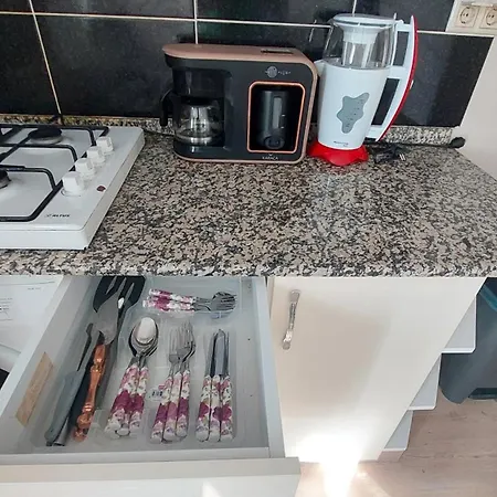 Diana's Ephesus 塞尔丘克