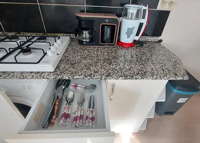 Diana's Ephesus סלצ'וק